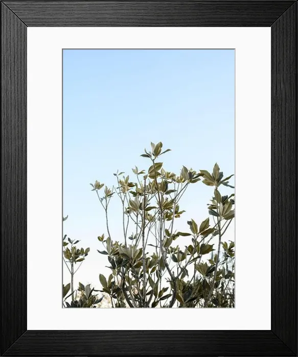Framed Print : 2ynya7m Framed Print : 2ynya7m