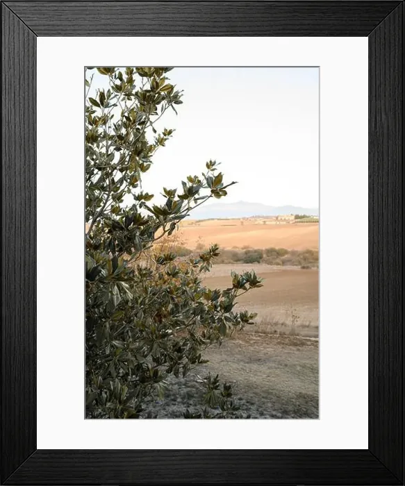 Framed Print : 2ynya7y Framed Print : 2ynya7y