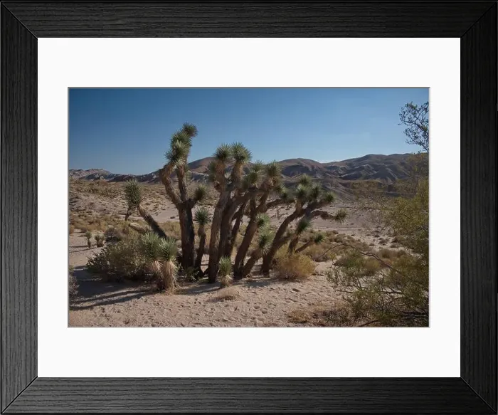 Framed Print : 2yp17jt