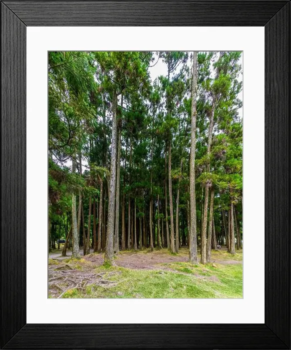 Framed Print : 2yp5c2f Framed Print : 2yp5c2f