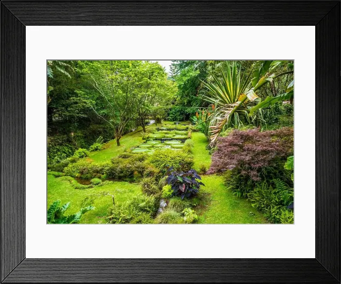 Framed Print : 2yp5c4j Framed Print : 2yp5c4j