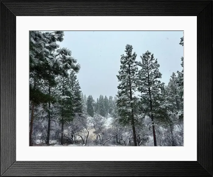 Framed Print : 2yph99c Framed Print : 2yph99c