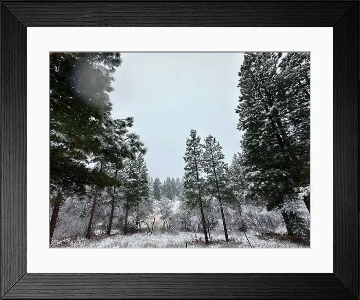 Framed Print : 2yph9dc Framed Print : 2yph9dc