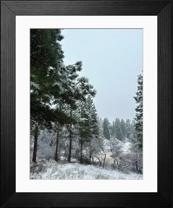 Framed Print : 2yph9tc Framed Print : 2yph9tc