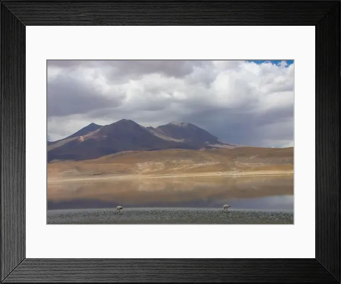 Framed Print : 2ypjxdy Framed Print : 2ypjxdy