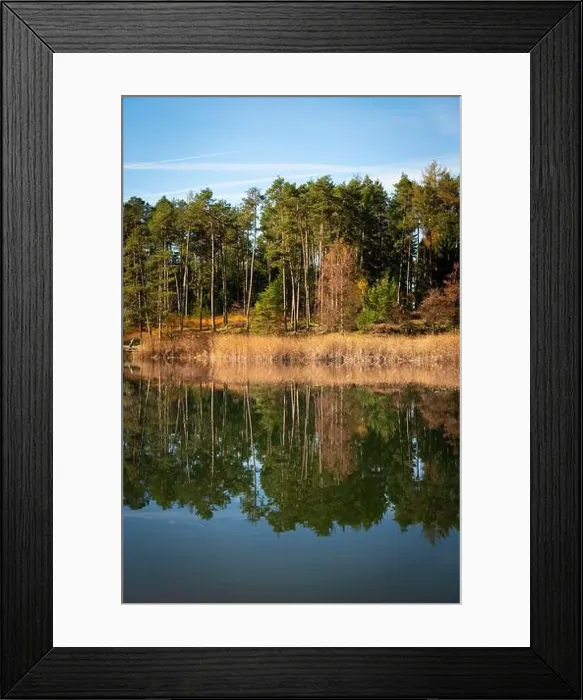 Framed Print : 2ypy4j1 Framed Print : 2ypy4j1