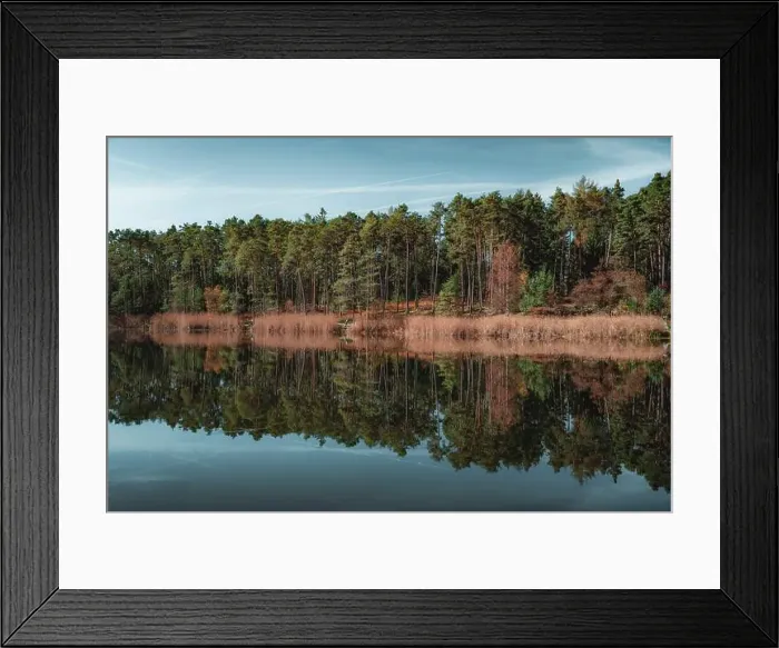 Framed Print : 2ypy4j8 Framed Print : 2ypy4j8