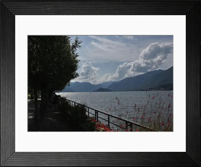 Framed Print : 2yr21ny Framed Print : 2yr21ny