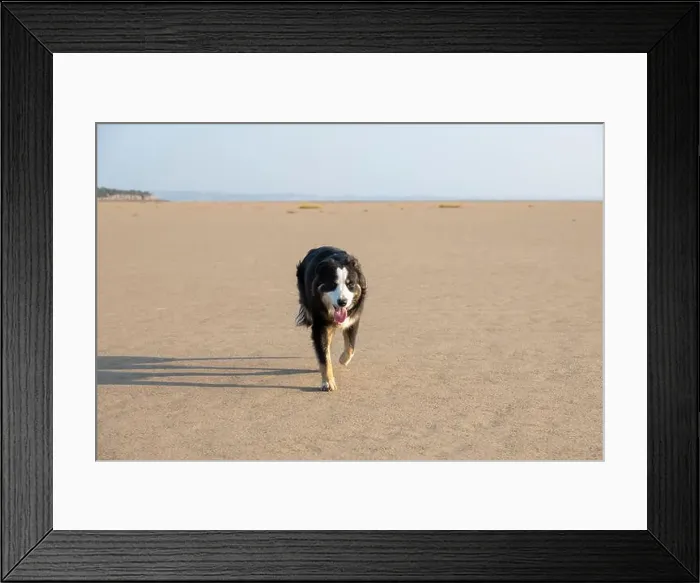 Framed Print : 2yr2767