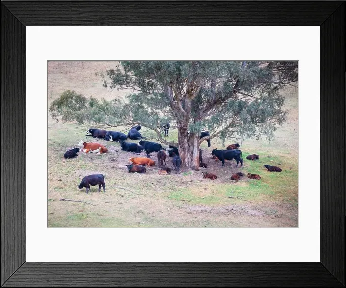 Framed Print : 2yr3b9y Framed Print : 2yr3b9y