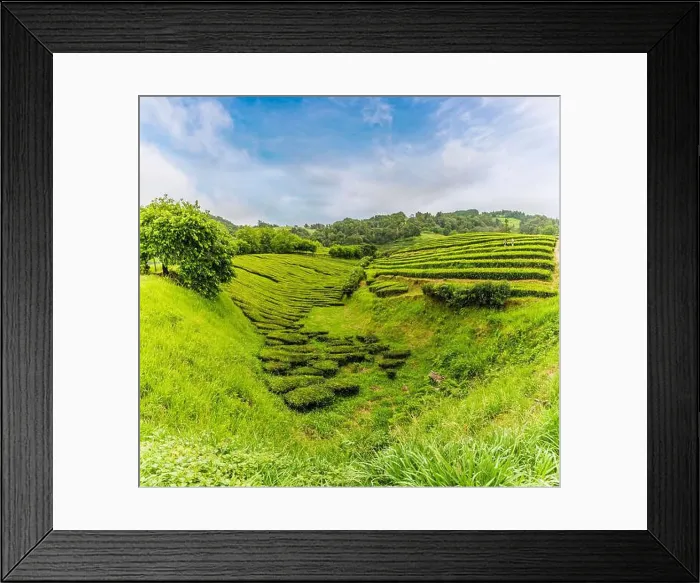 Framed Print : 2yr4ht4 Framed Print : 2yr4ht4