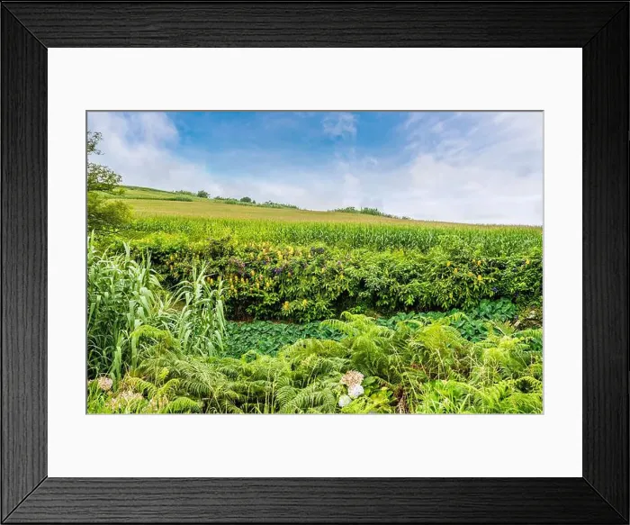 Framed Print : 2yr4ht8 Framed Print : 2yr4ht8