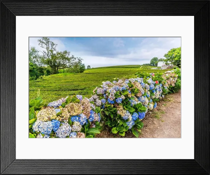 Framed Print : 2yr4hte Framed Print : 2yr4hte