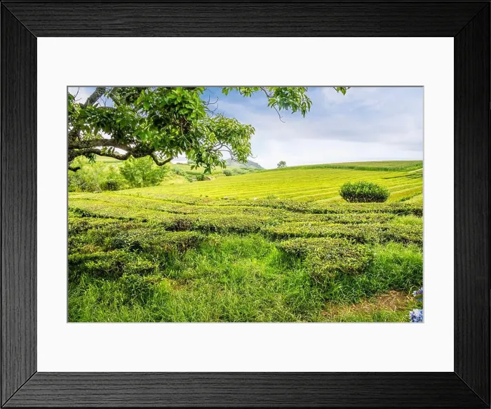 Framed Print : 2yr4hth Framed Print : 2yr4hth