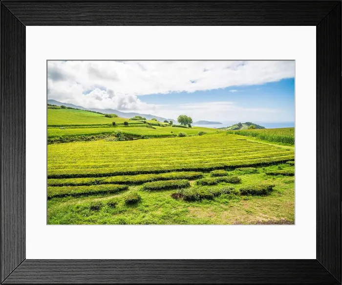 Framed Print : 2yr4j10 Framed Print : 2yr4j10