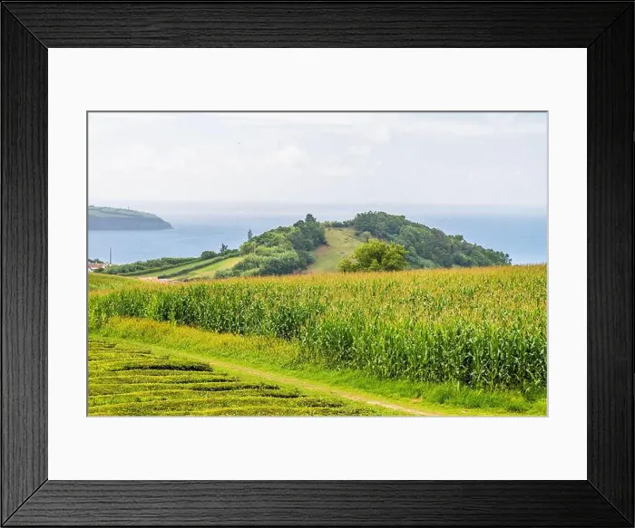 Framed Print : 2yr4j14 Framed Print : 2yr4j14