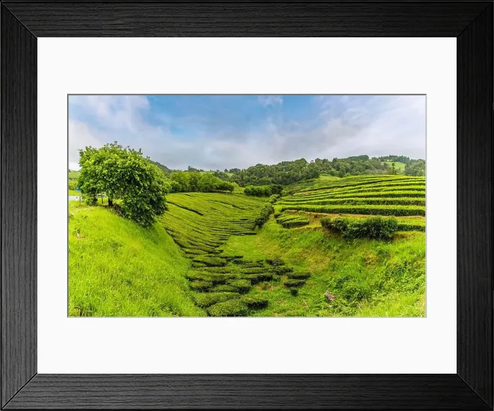 Framed Print : 2yr4j1b Framed Print : 2yr4j1b