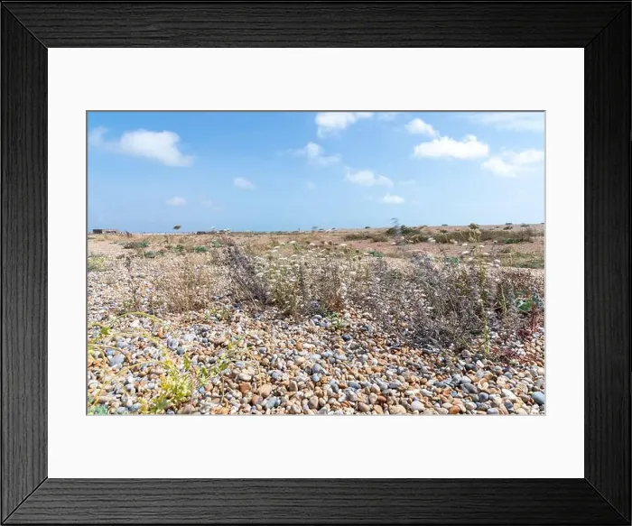 Framed Print : 2yr54tx Framed Print : 2yr54tx