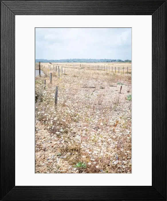 Framed Print : 2yr54wa Framed Print : 2yr54wa