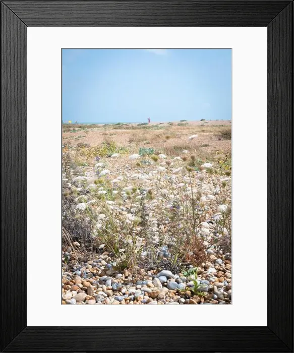 Framed Print : 2yr5509 Framed Print : 2yr5509