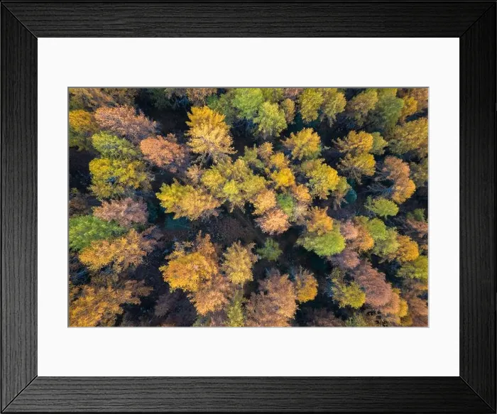 Framed Print : 2yr58ce Framed Print : 2yr58ce