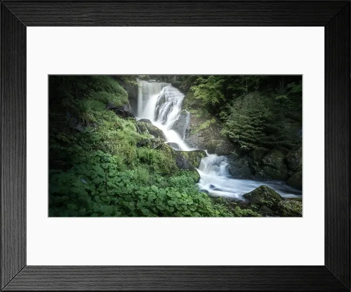 Framed Print : 2yra984 Framed Print : 2yra984