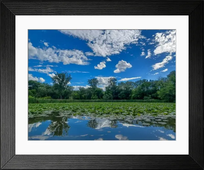 Framed Print : 2yrb9hn Framed Print : 2yrb9hn