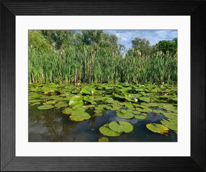 Framed Print : 2yrb9hx Framed Print : 2yrb9hx