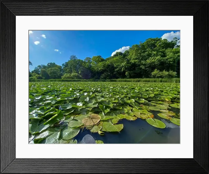 Framed Print : 2yrb9hy Framed Print : 2yrb9hy