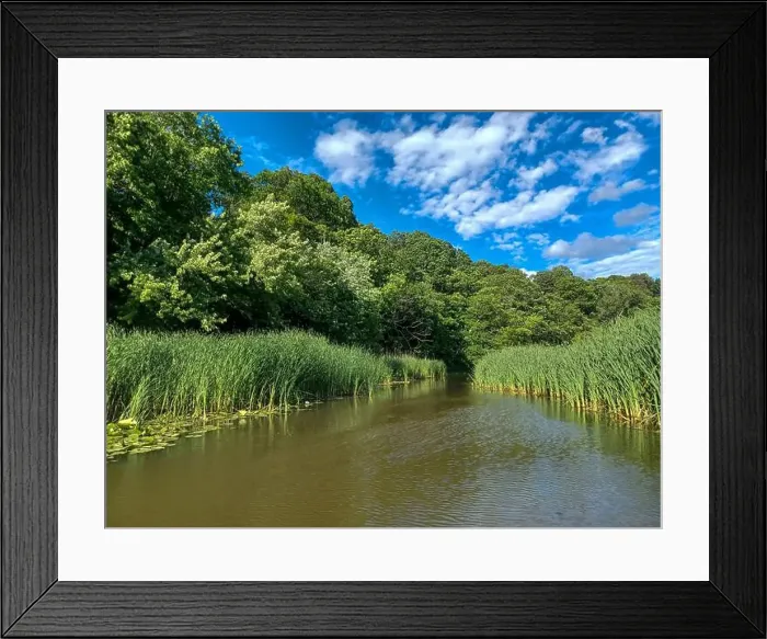 Framed Print : 2yrb9j4 Framed Print : 2yrb9j4