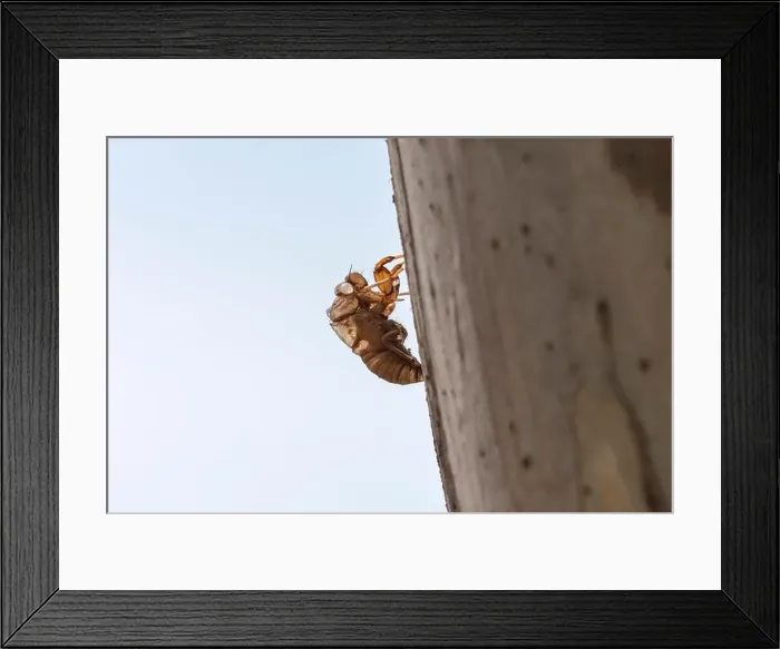 Framed Print : 2yrbt3t Framed Print : 2yrbt3t