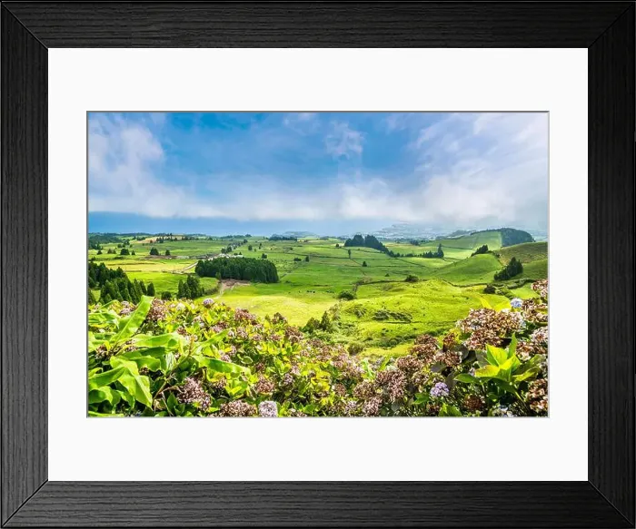 Framed Print : 2yrcdre Framed Print : 2yrcdre
