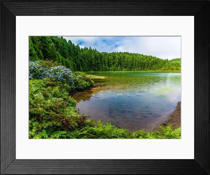 Framed Print : 2yrcdrp