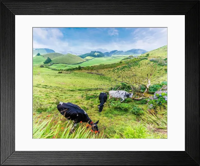 Framed Print : 2yrcdyr Framed Print : 2yrcdyr