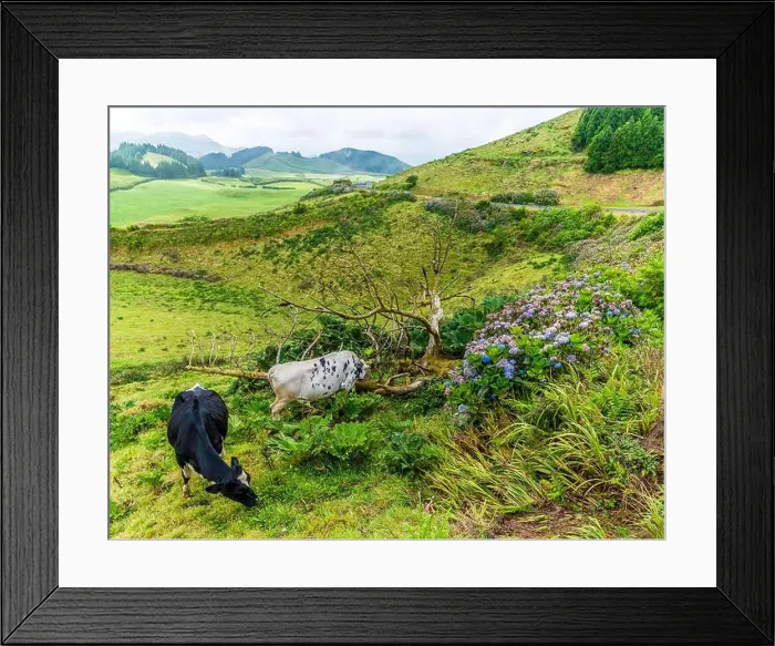 Framed Print : 2yrcdyw Framed Print : 2yrcdyw