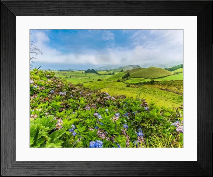 Framed Print : 2yrcdyy Framed Print : 2yrcdyy