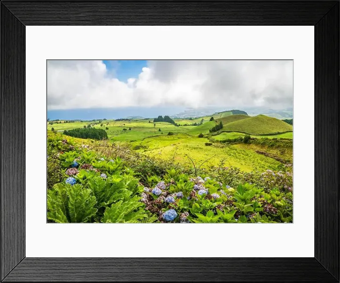 Framed Print : 2yrce01 Framed Print : 2yrce01