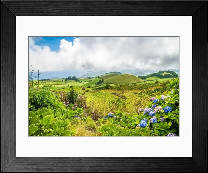 Framed Print : 2yrce03 Framed Print : 2yrce03