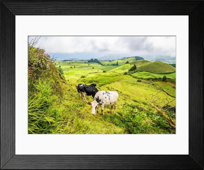 Framed Print : 2yrce04 Framed Print : 2yrce04