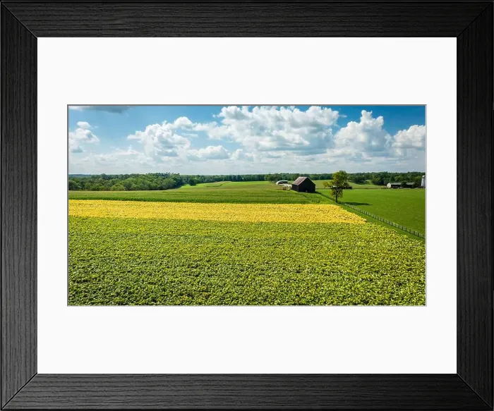 Framed Print : 2yrf744 Framed Print : 2yrf744