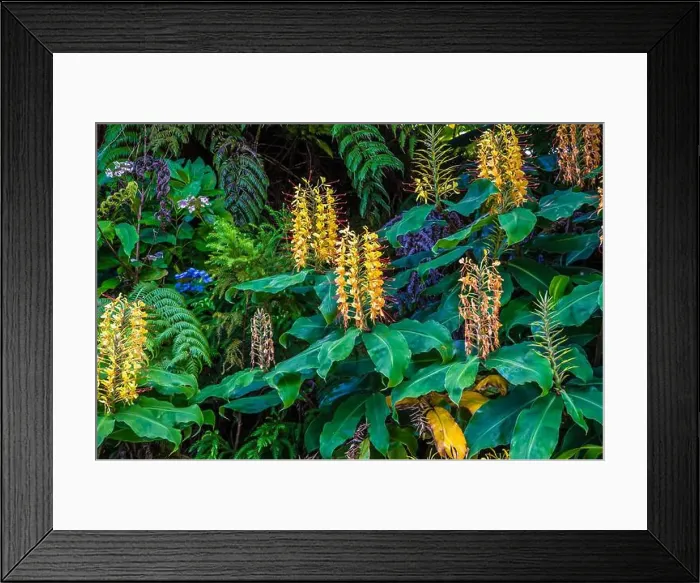 Framed Print : 2yrmce3 Framed Print : 2yrmce3