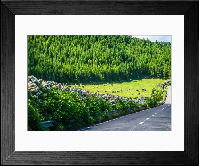 Framed Print : 2yrmcfd Framed Print : 2yrmcfd