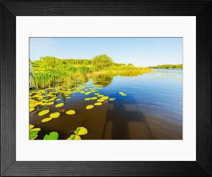 Framed Print : 2yrnrmm Framed Print : 2yrnrmm