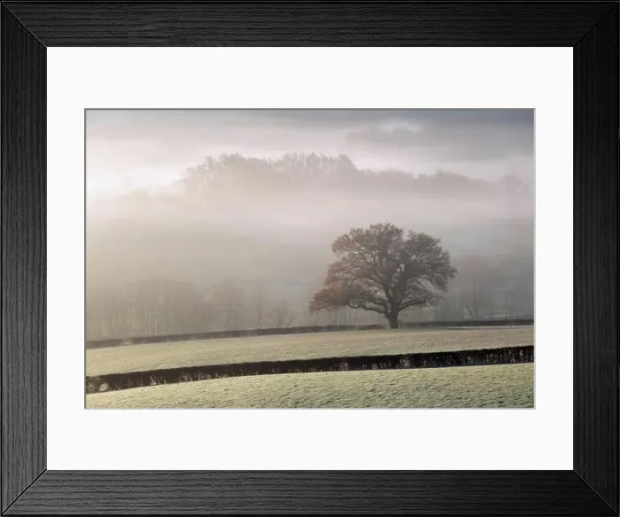 Framed Print : 2yrynmk Framed Print : 2yrynmk