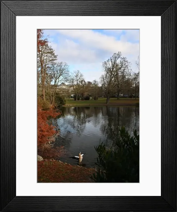 Framed Print : 2yryw3x