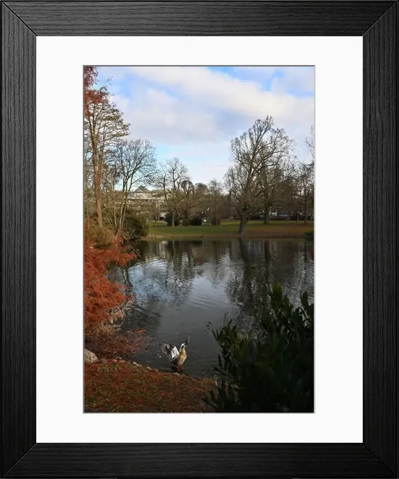 Framed Print : 2yryw7c Framed Print : 2yryw7c