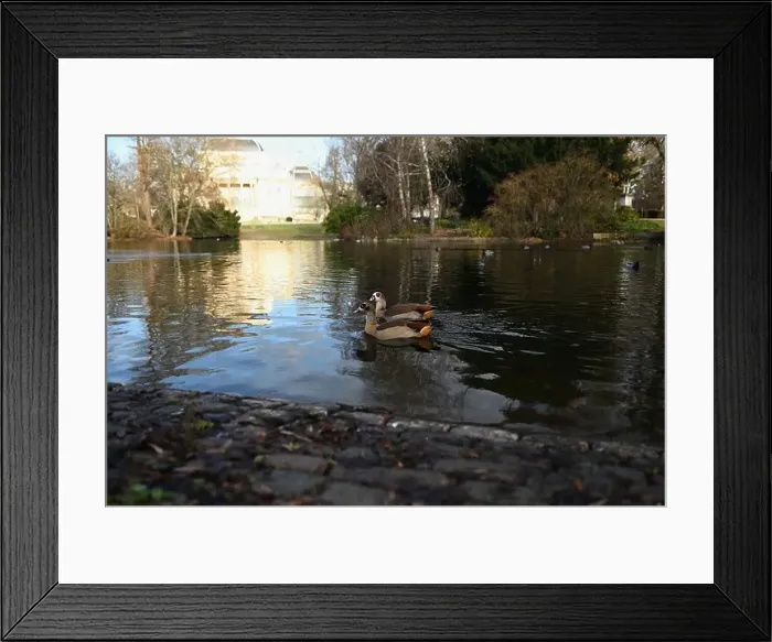 Framed Print : 2yryyck Framed Print : 2yryyck