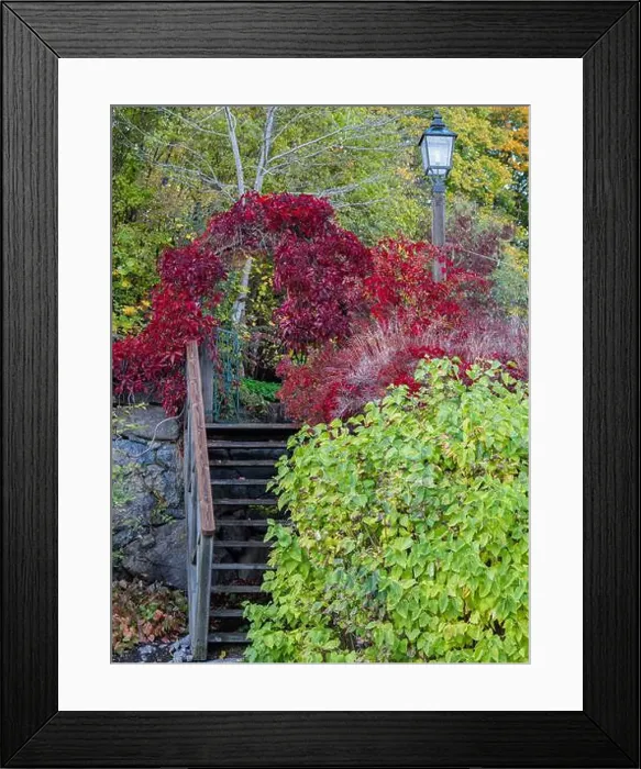 Framed Print : 2yt2fcw Framed Print : 2yt2fcw