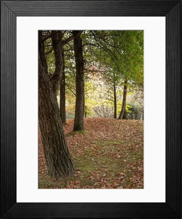Framed Print : 2yt6wr7 Framed Print : 2yt6wr7
