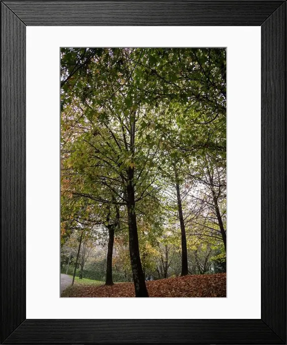 Framed Print : 2yt6x66 Framed Print : 2yt6x66